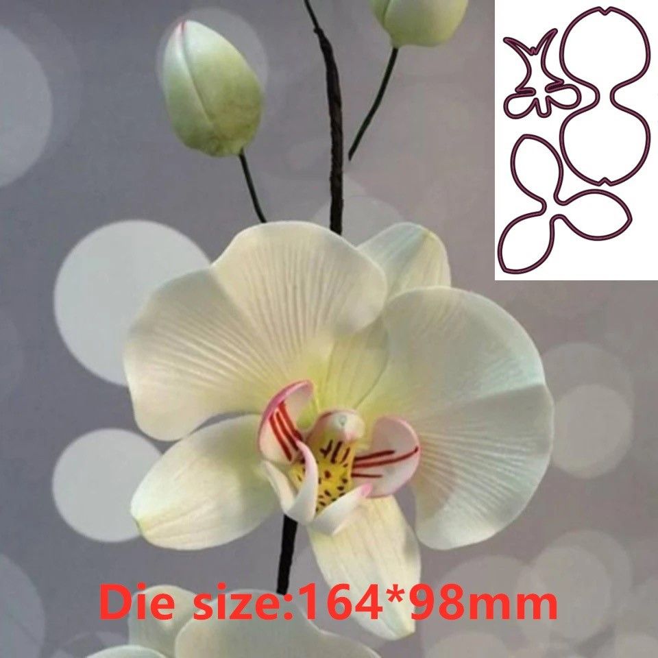 Orchid Phalaenopsis - Stensil mata dadu potongan logam bunga