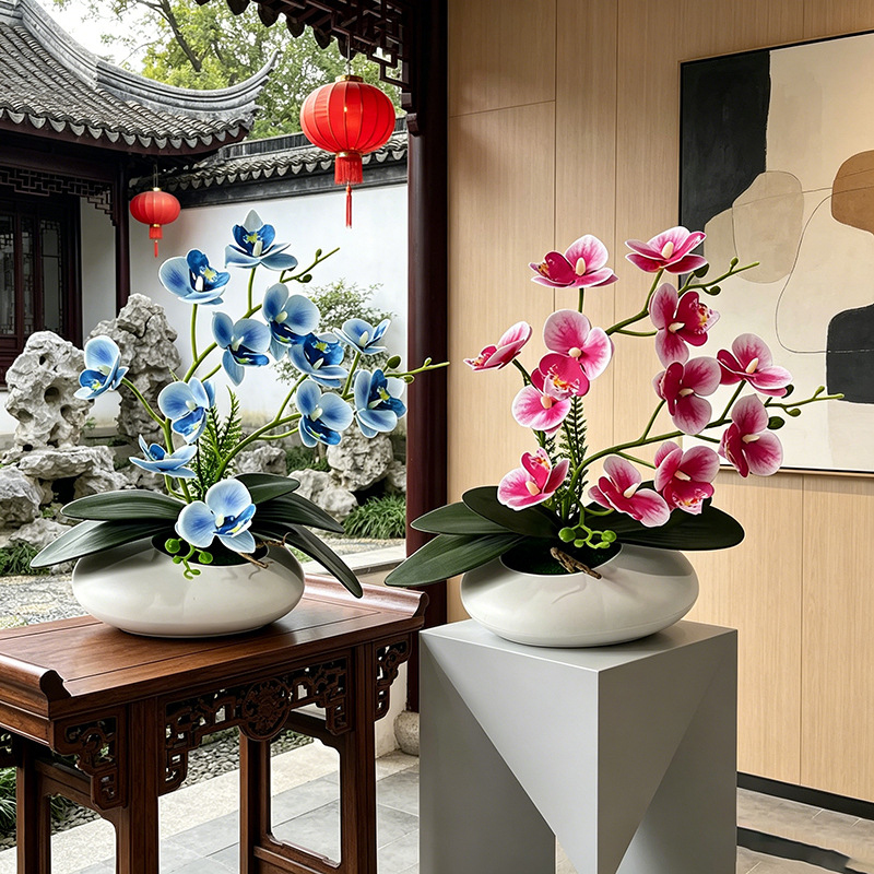 Orchid Phalaenopsis - Anggrek Kupu-kupu 12 Bunga Bonsai Ornamen