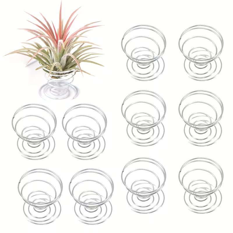 Air Plant Tillandsia - 1/10PCS Set Penyangga Pegas Logam, Penyangga