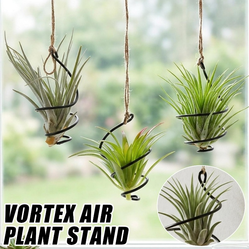 Air Plant Tillandsia - Penyangga Tanaman Gantung, Gantungan Tanaman Gantung