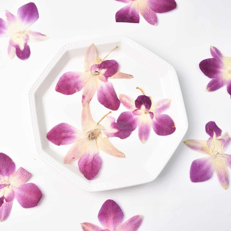 4 Buah, Bunga Anggrek Kupu-kup - Orchid Phalaenopsis ulasan dan harga
