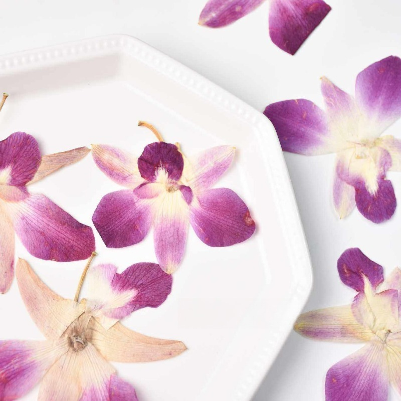 4 Buah, Bunga Anggrek Kupu-kup - Orchid Phalaenopsis ulasan dan harga