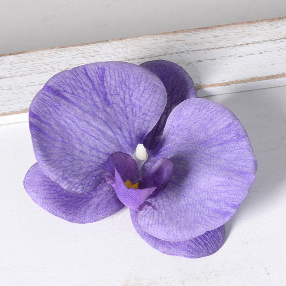 Kepala Bunga Phalaenopsis Buat - Orchid Phalaenopsis ulasan dan harga