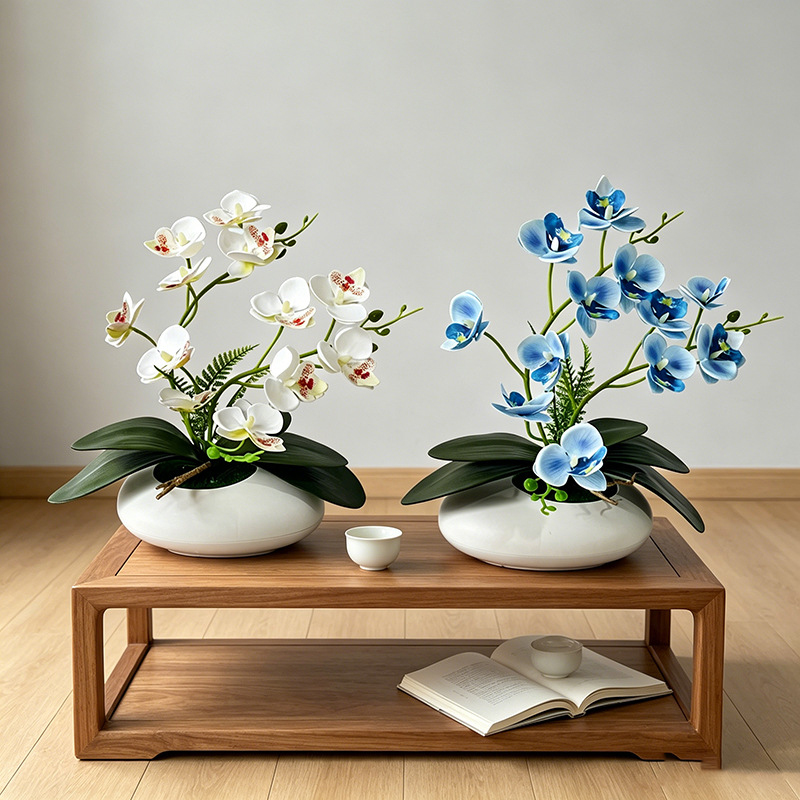 Anggrek Kupu-kupu 12 Bunga Bon - Orchid Phalaenopsis ulasan dan harga