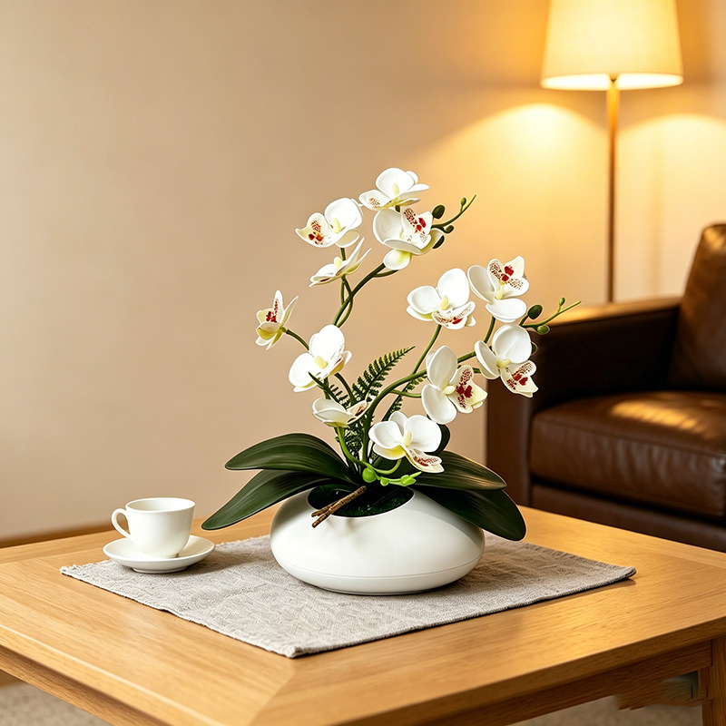 Anggrek Kupu-kupu 12 Bunga Bon - Orchid Phalaenopsis ulasan dan harga