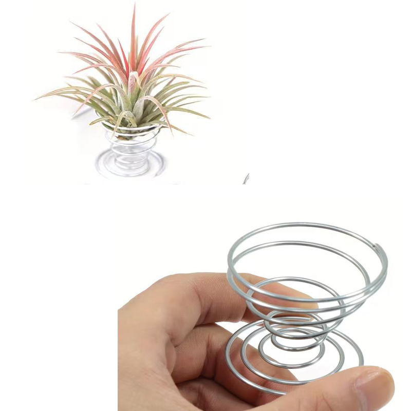 1/10PCS Set Penyangga Pegas Lo - Air Plant Tillandsia ulasan dan harga