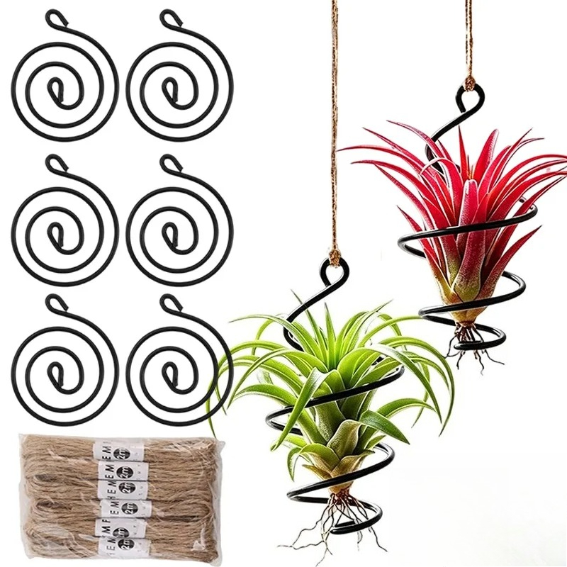 Penyangga Tanaman Gantung, Gan - Air Plant Tillandsia ulasan dan harga