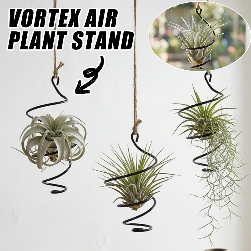 Penyangga Tanaman Gantung, Gan - Air Plant Tillandsia ulasan dan harga